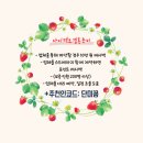 렌느브라이덜 본식 비즈, 실크 드레스투어 후기 (촬영 가능)