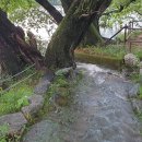 어떤점빵 이미지