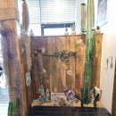 증산역1번출구 뒤 이미지