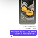 황금대박 | 😱와... 사진 보소..캠핑가서 구워드신 요니팜스 황금고구마 대박후기 👍🏾