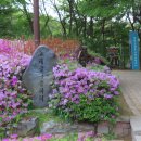 고강공원 Daum카페