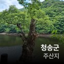 용추관광안내소 | 청송여행(7월에 청송주산지 갔다온 후기)