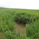 개척농장 이미지