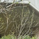 아이콘큐브(주) | 3월 넷째 주