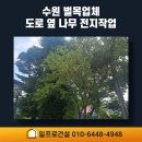수리공원 주변 보행자우선도로 | 수원 벌목업체 도로 옆 나무 전지작업