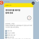 사쿠란보애견샵 부산대점 | 제주여행로그3탄(24.10.17~19)