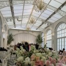 이용성 | 27년 상반기 보타닉파크웨딩 카라홀 상담 후기 및 견적공유(계약❌)