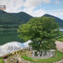 거례리 이미지