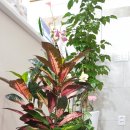 바른손지압안마원 이미지