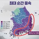 가짜삼촌여행사 이미지