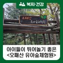 오패산 유아숲체험원 이미지