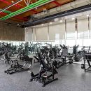 피트니스 마주 이미지