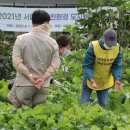 여울농장 이미지