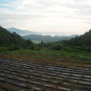 비파농장 이미지