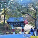 깊은 치유 이미지