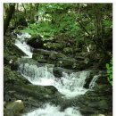 성수산자연휴양림 이미지