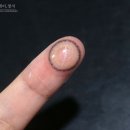 메이크퀸 이미지