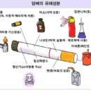 금연~ 이미지