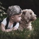 이로운 동물병원 이미지