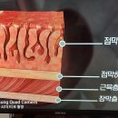 표적항암치료제 이미지