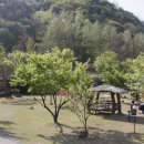 한우풍경 이미지