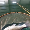 앵남낚시터 이미지