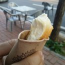 the 쫑포 이미지