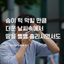 공주상조의전 | [현진시닝 장례후기] 숨이 턱 막힐 만큼 더운 날씨속에서 땀을 뻘뻘 흘리시면서도