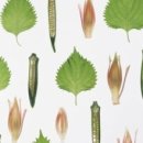 메디힐요양병원 이미지