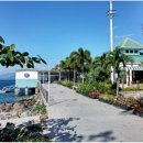 동양어학원 이미지