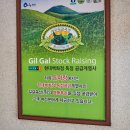 명품토종흑돼지 네이버블로그
