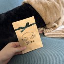 지엔스 | 가벼워 불편함 없는 지엔스 고양이 가죽 인식표 구매 후기