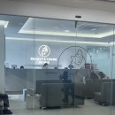 위즈앤미의원 | 후면카메라 보고 충격… 온다리프팅 6만줄 솔직후기｜아픔·가격·대기시간까지