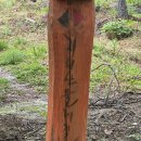 마천금계슈퍼 | 지리산 둘레길 3코스 (1박2일) - 2일차