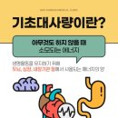 아센휘트니스 | 기초대사량 그의 중요성!