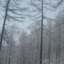 2월17일(화) 평창 백덕산 눈꽃능선 이미지