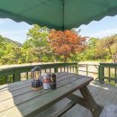 도담도담애견펜션 이미지