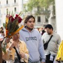 도도 Grooming 이미지