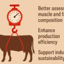 산정축산 이미지