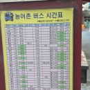 영천초등학교 | 서울에서 부산 시내버스여행 후기(둘째날)