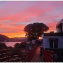 나무향기민박 이미지