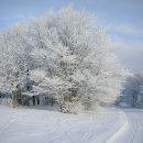 트럼펫연주 이미지