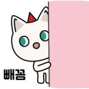 서울붕어베이커리 이미지