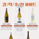 뱅가드와인머천트 - 성남시 분당구 판교역로192번길 12 | 뱅가드와인머천트