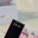 031 | 디올 립글로우 오일 031 스트로베리 웜톤 발색 후기