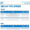 SAP 이미지