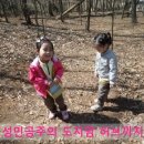 양곡숲유치원 이미지