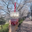 베스트프레즐&샐러드야 이미지