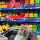 김현아 | 김현아 현대프리미엄아울렛 | 하리보 팝업 구경 후기