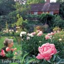 타샤의 정원 이미지